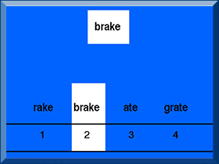 Auditory and Visual Memory Module